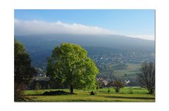 der Hochnebel kommt...