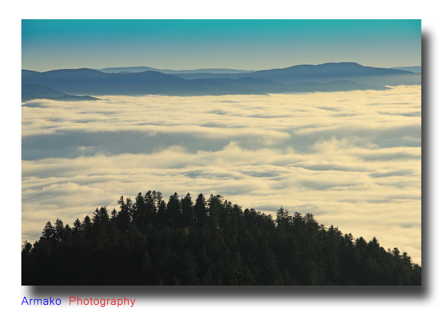 Der Hochschwarzwald mit dem Feldberg über dem Nebel