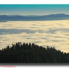 Der Hochschwarzwald mit dem Feldberg über dem Nebel