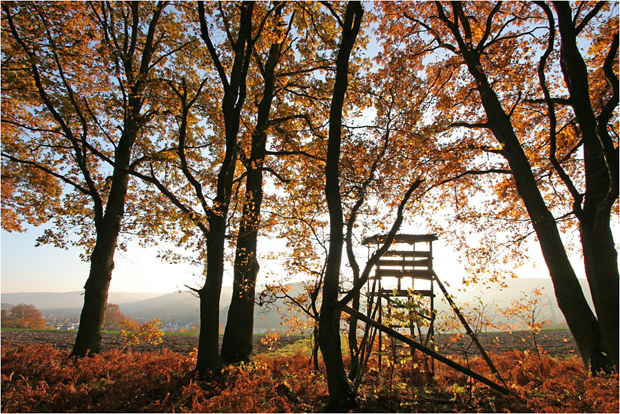 Der Hochsitz