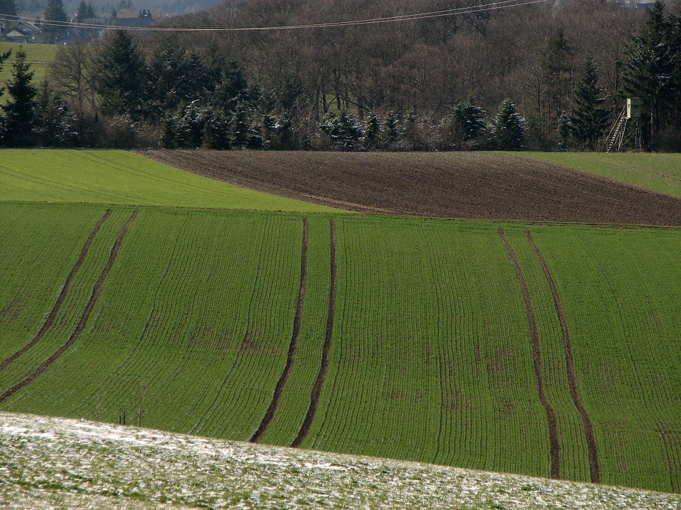 der Hochsitz