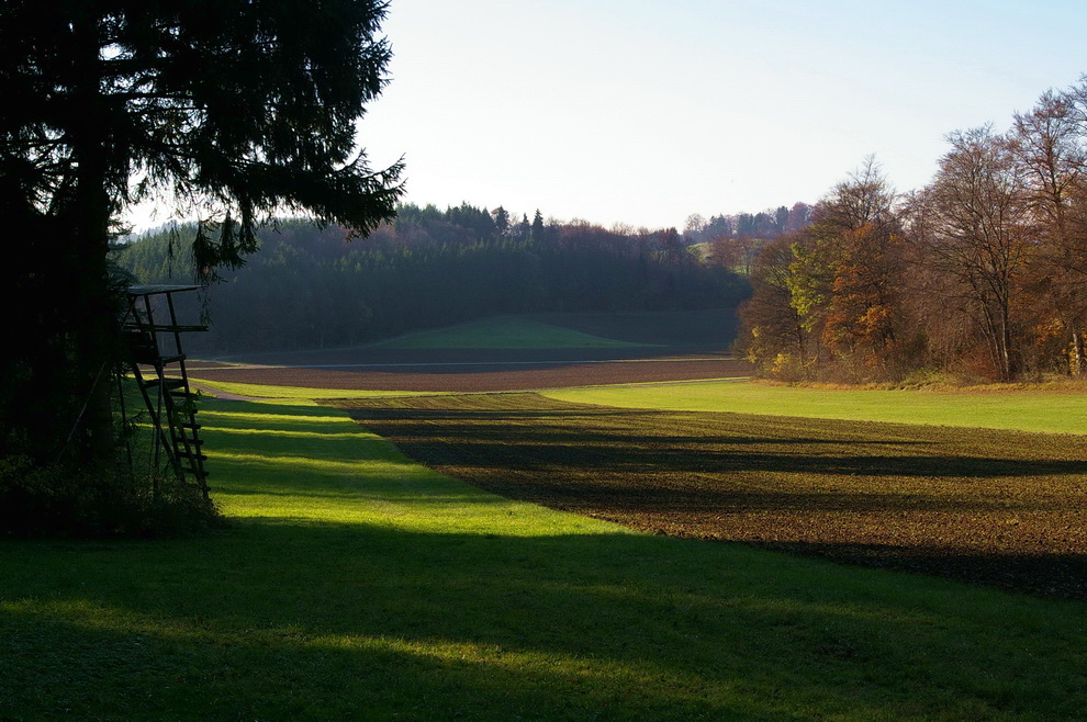 Der Hochsitz