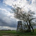 Der Hochsitz mit dem Blätterdach