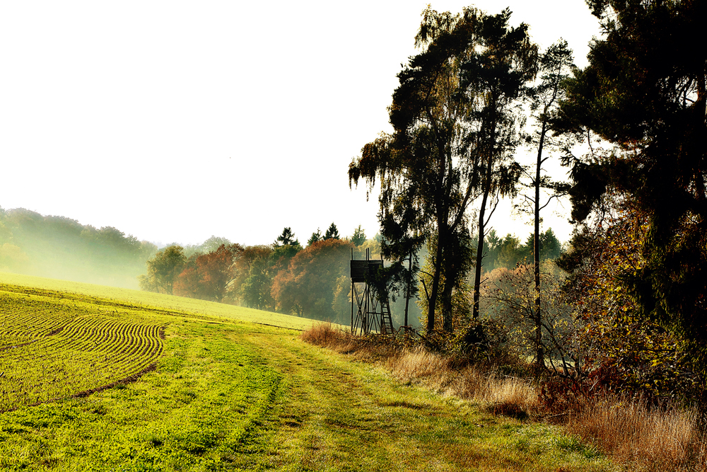 Der Hochstand