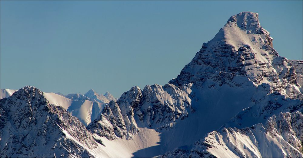 DER HOCHVOGEL