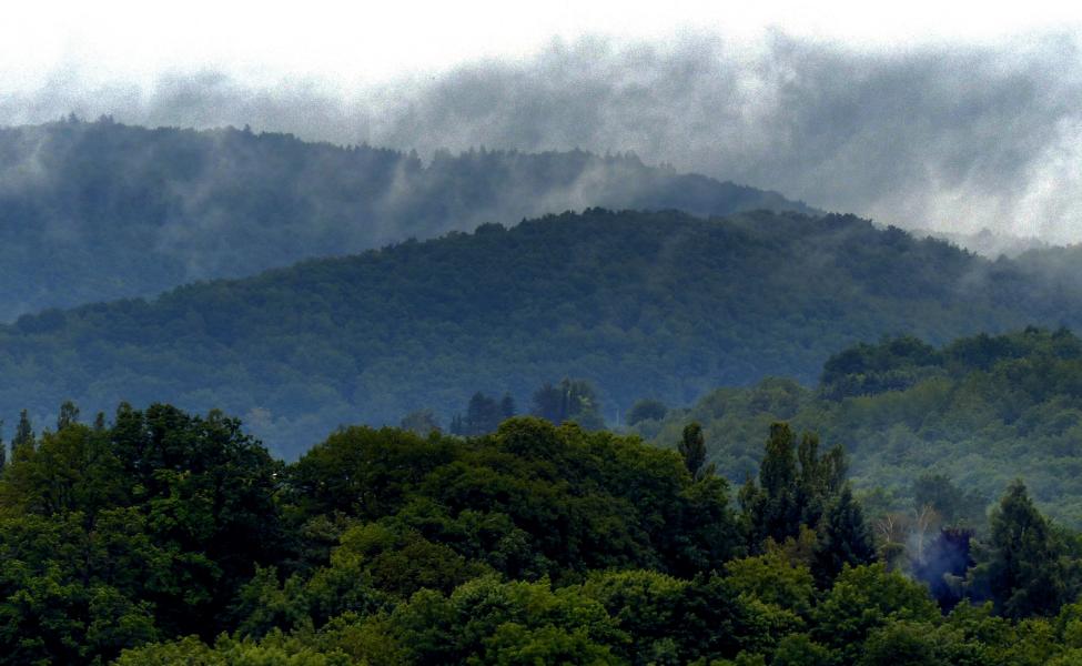 Der Hochwald bei St. Wendel