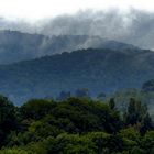 Der Hochwald bei St. Wendel