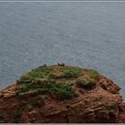 Der höchste Gipfel von Helgoland