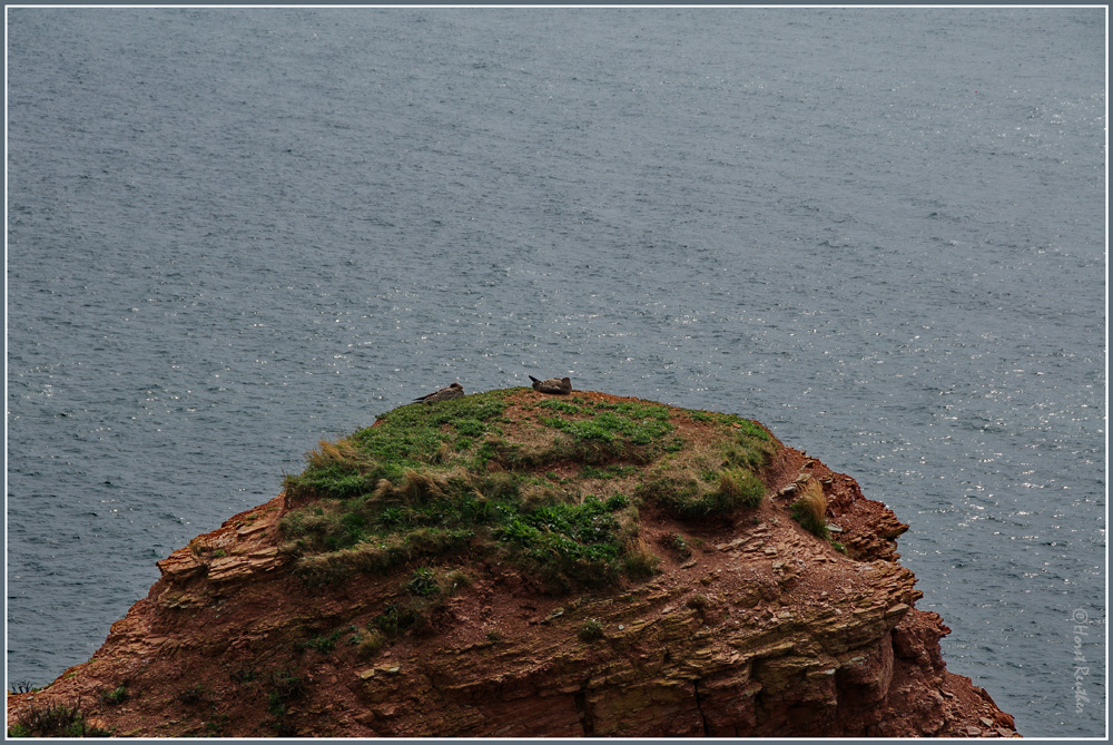 Der höchste Gipfel von Helgoland