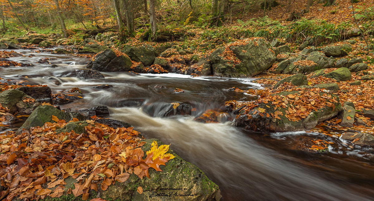  der hoegne in seiner herbstlichen pracht