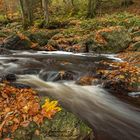  der hoegne in seiner herbstlichen pracht