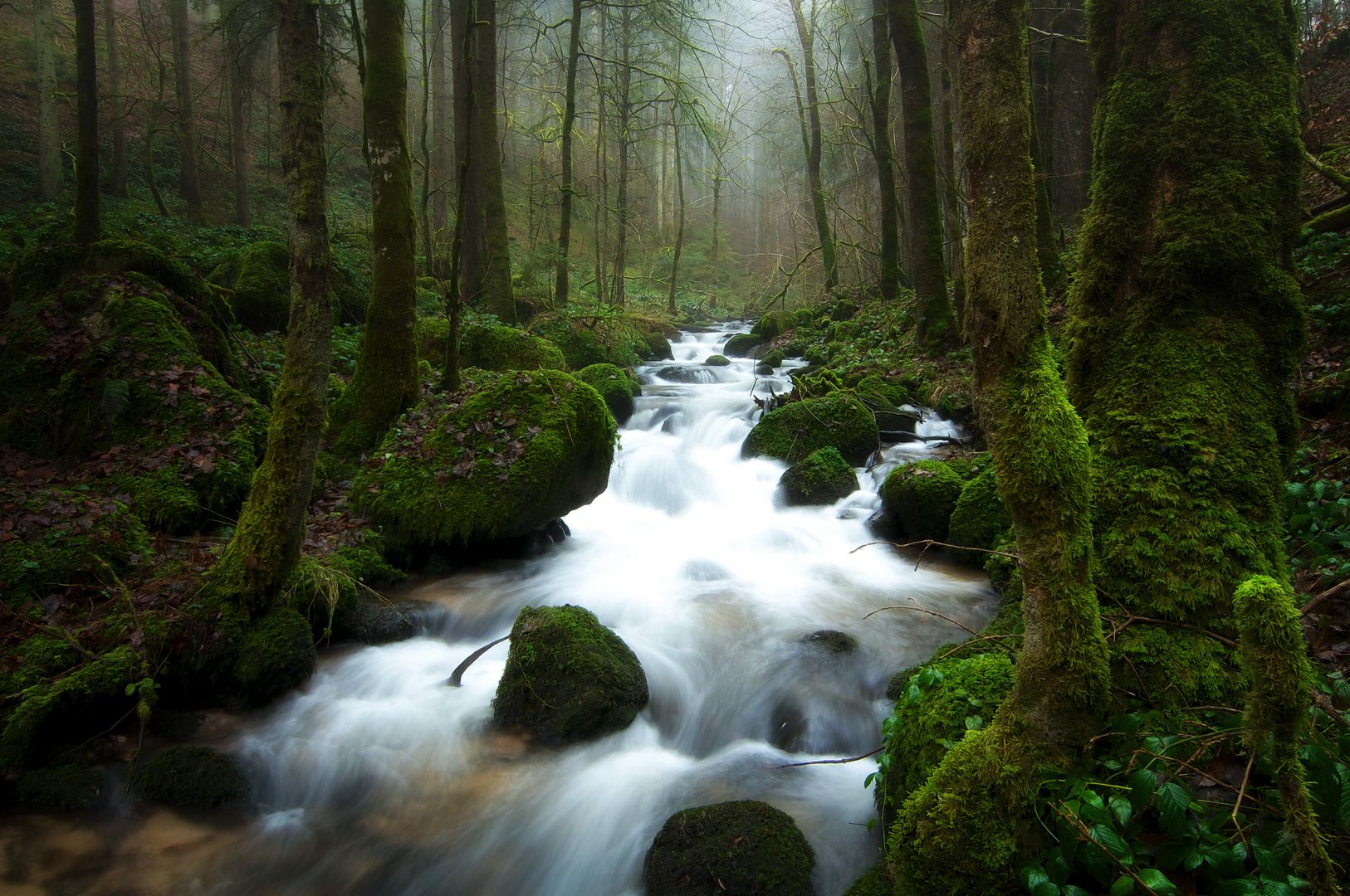 Der Höllbach