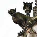 Der Höllenhund am Münster