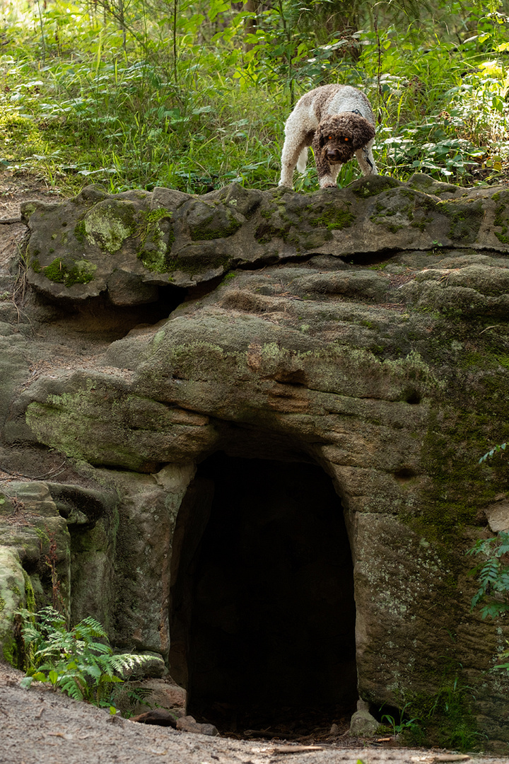 Der Höllenhund vom Luderloch