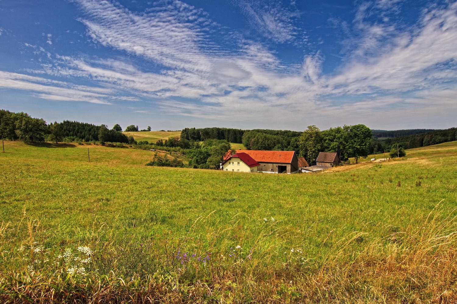 Der Hof