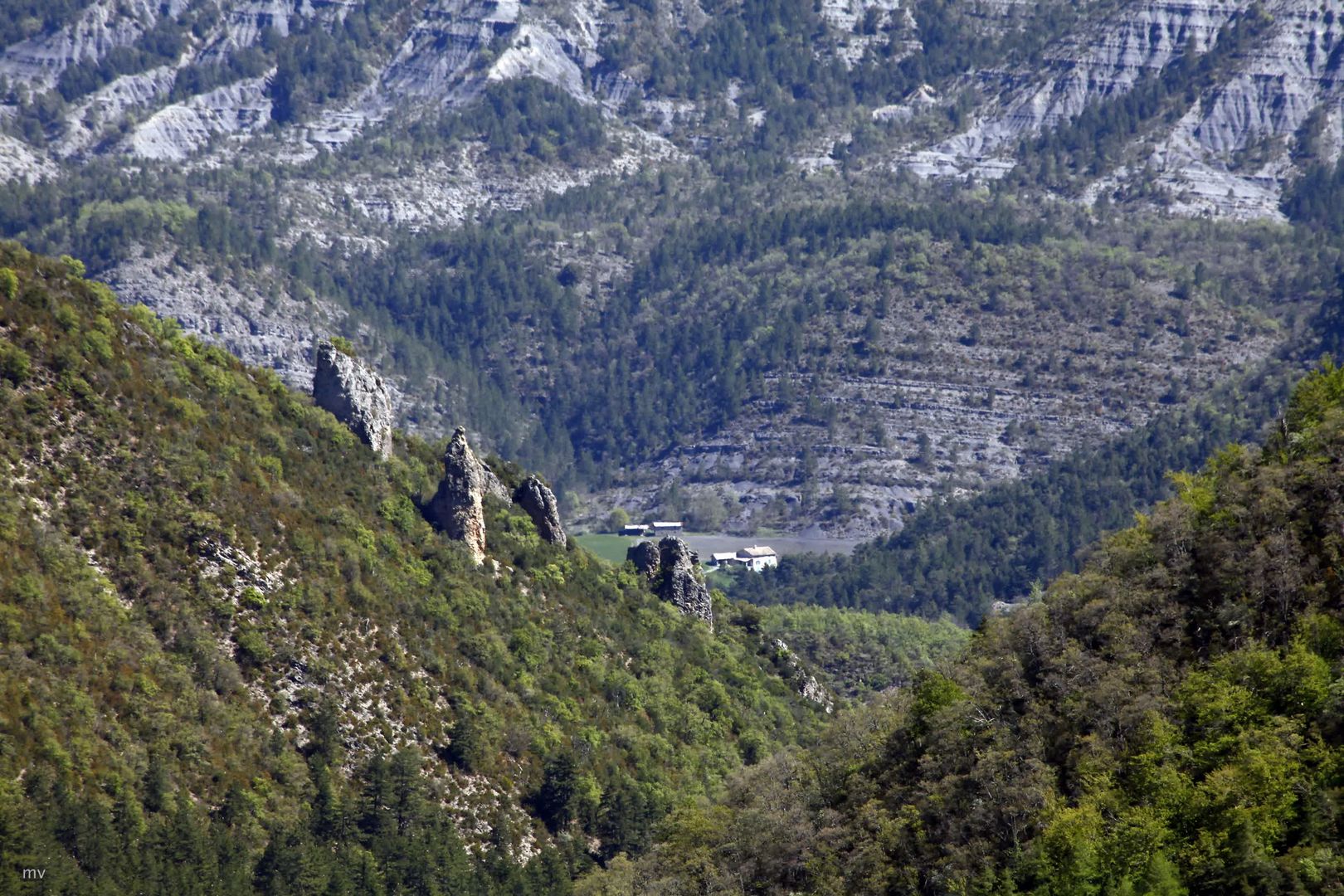 Der Hof im Tal