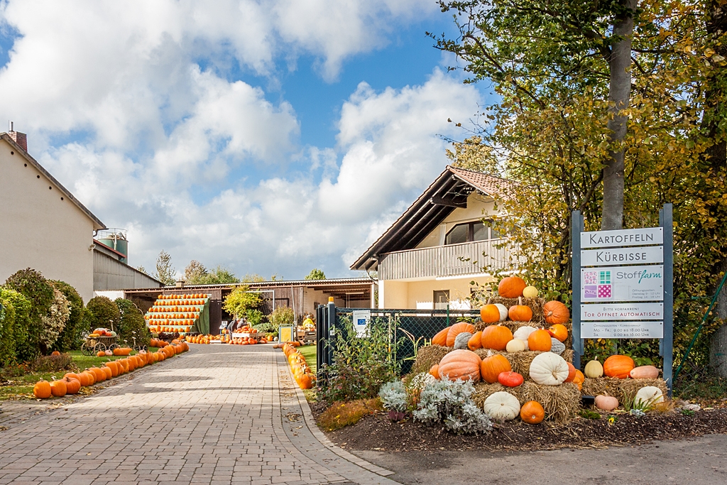 Der Hof Neber in Mauchenheim