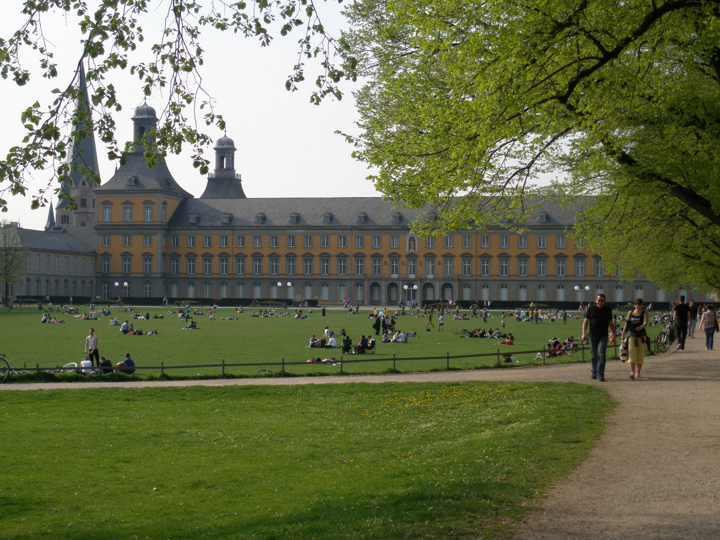 Der Hofgarten in Bonn