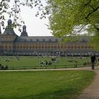 Der Hofgarten in Bonn