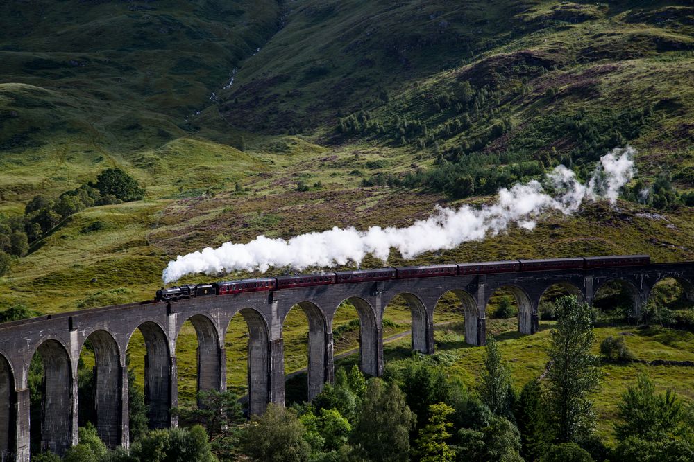 Der Hogwarts Express