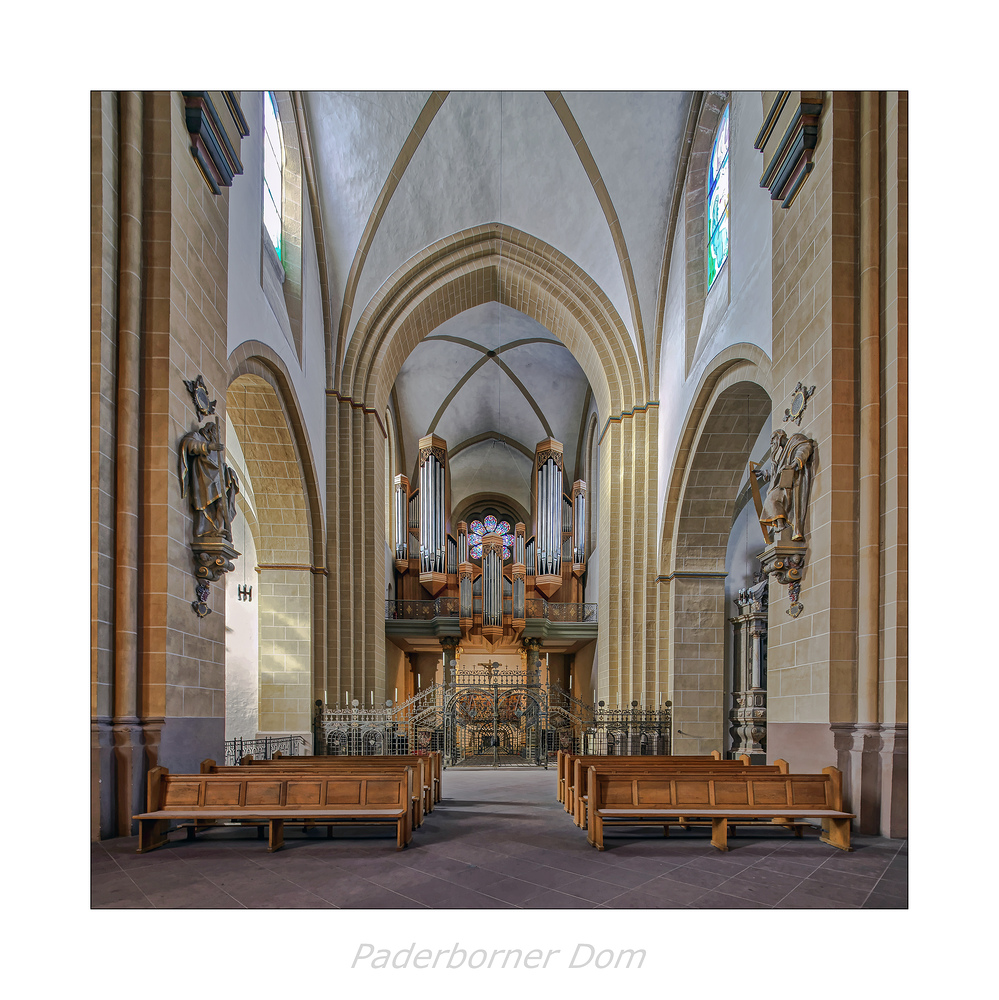 der Hohe Dom Ss. Maria, Liborius und Kilian " Blick zur Orgel..."