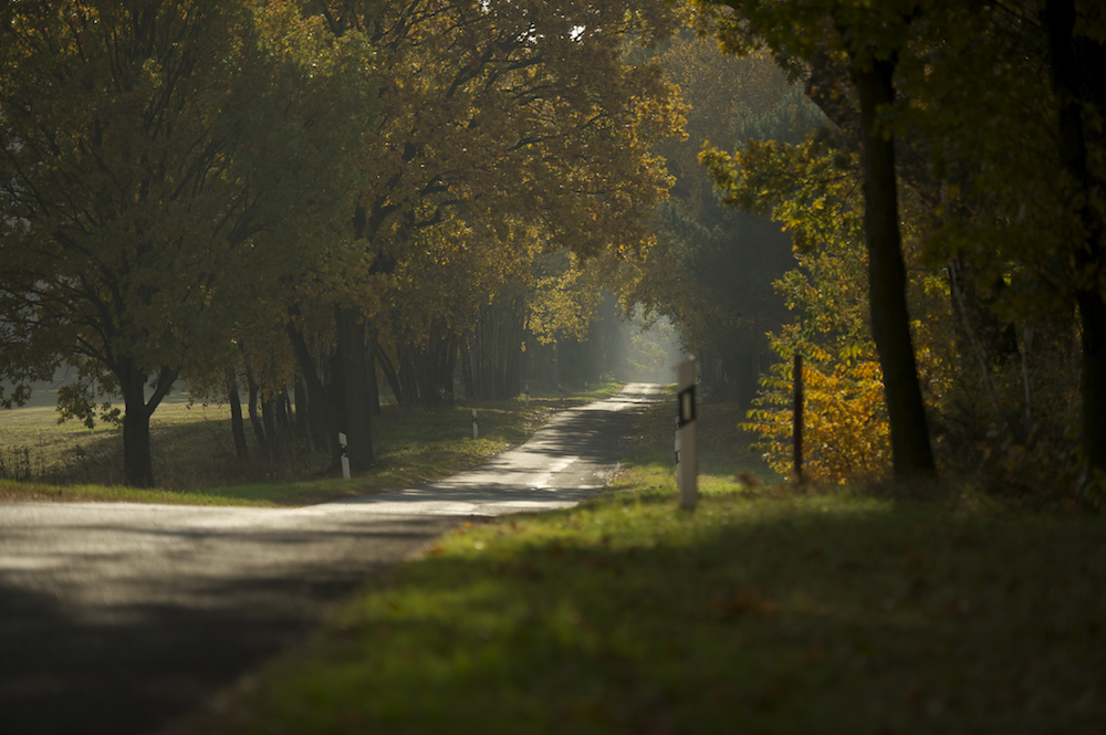 ... der Hohe Fläming im Herbst ...