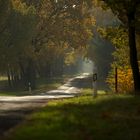 ... der Hohe Fläming im Herbst ...