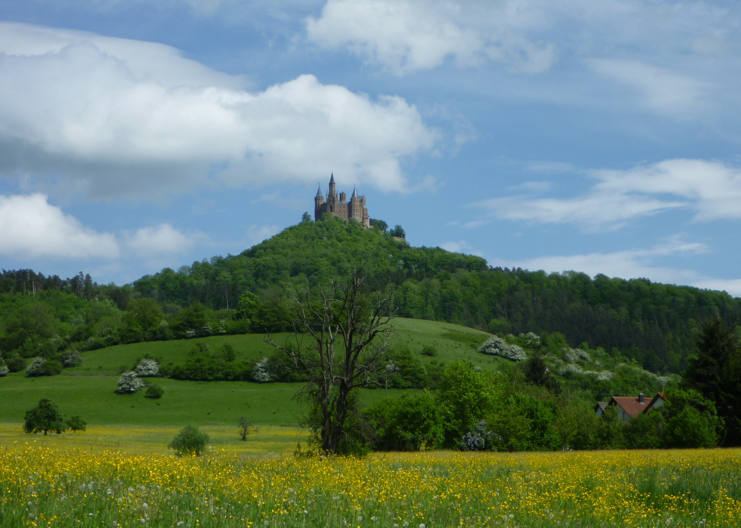 Der Hohenzollern im Frühling