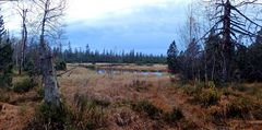 Der Hohlohsee im Hochmoor ...