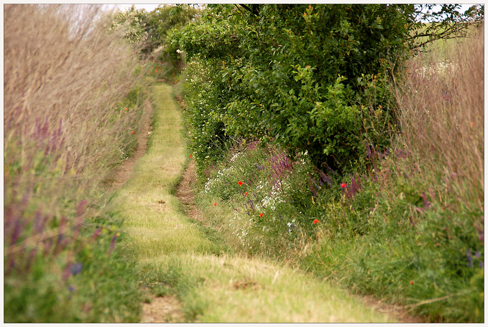 Der Hohlweg - Blick zurück