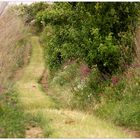 Der Hohlweg - Blick zurück