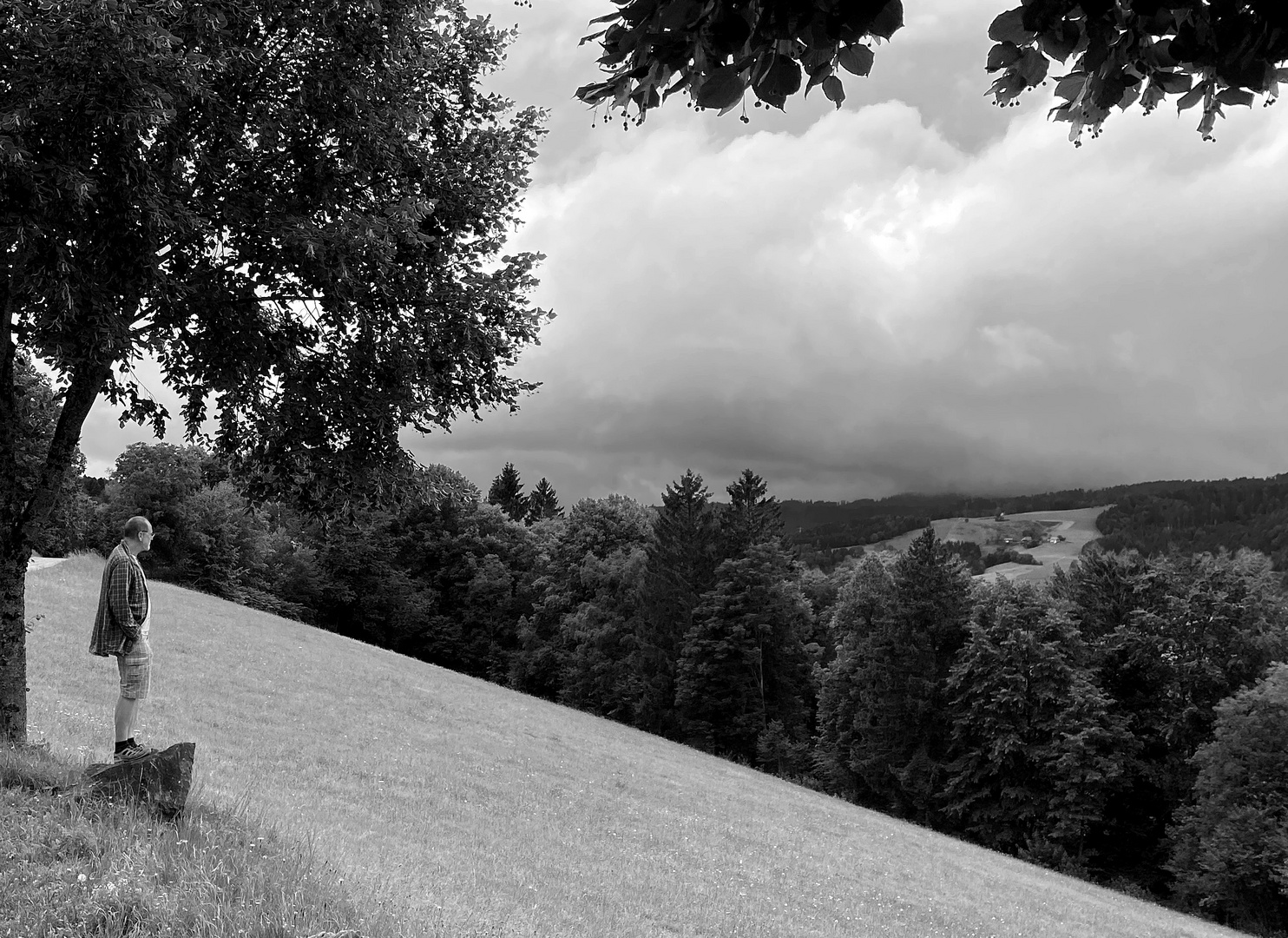 der holde blickt übern schwarzwald