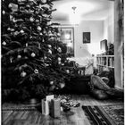 der holde liegt unterm weihnachtsbaum
