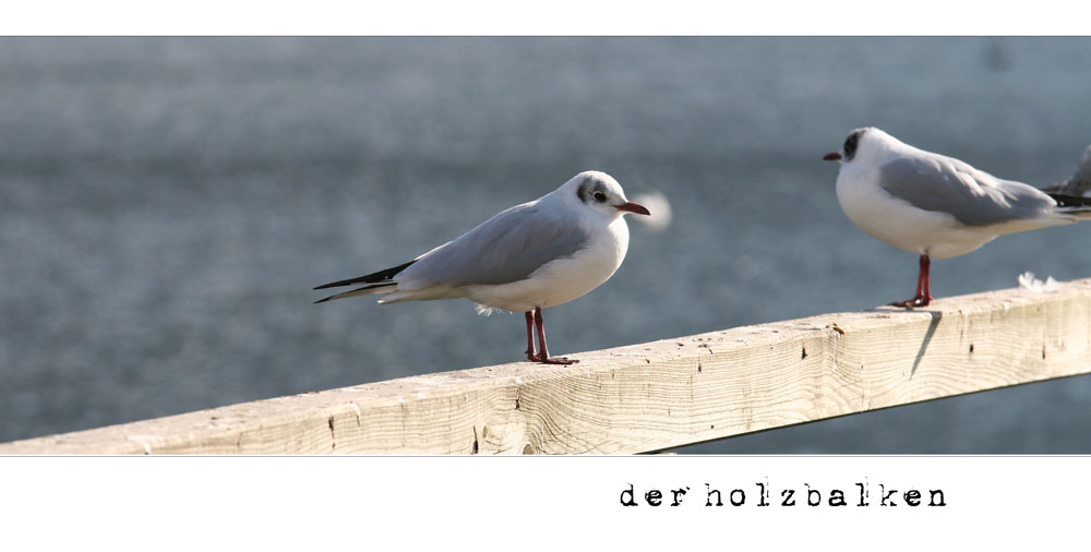 * der holzbalken