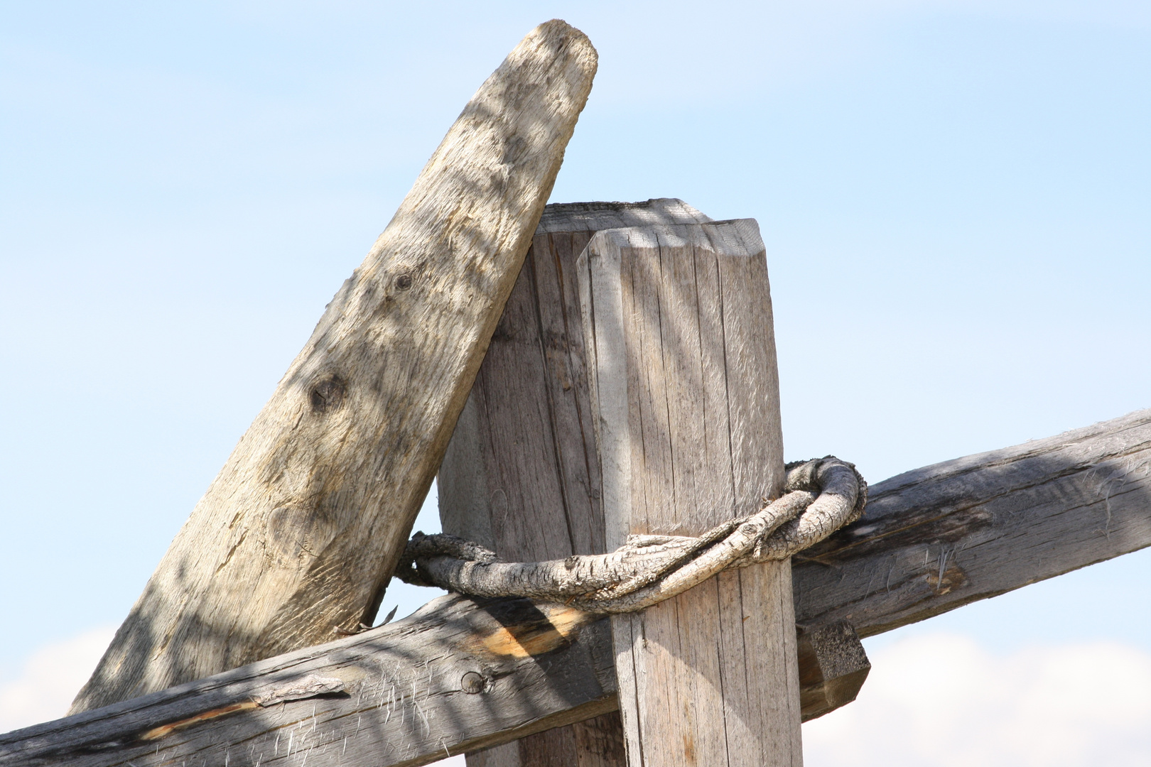 Der Holzknoten