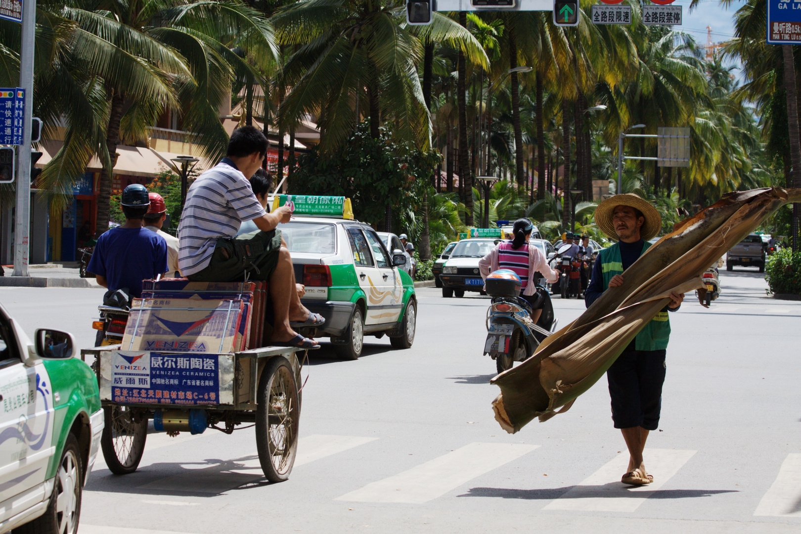 Der Holzscheitschlepper von Jinghong