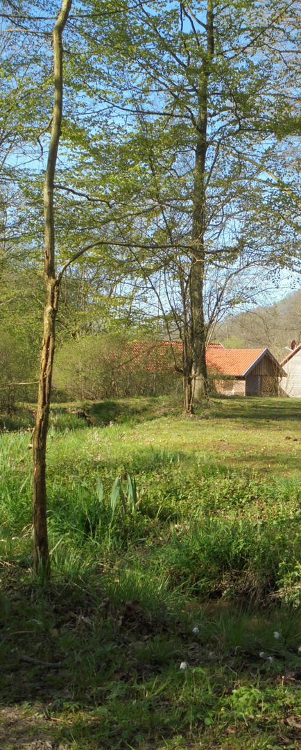 Der Holzschuppen