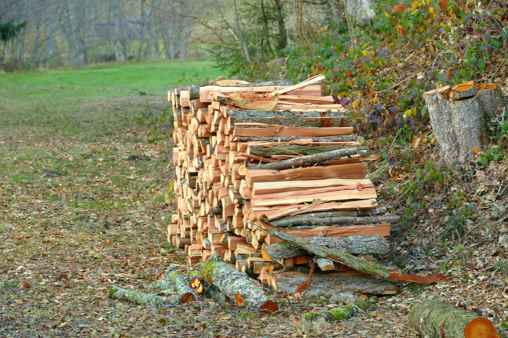 °°°° Der Holzstapel °°°°