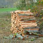 °°°° Der Holzstapel °°°°