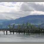der Holzsteg über den Zürichsee... (I)