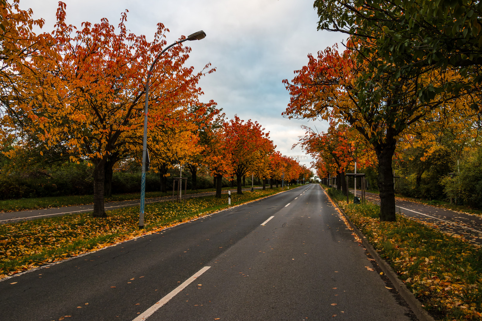 Der Holzweg