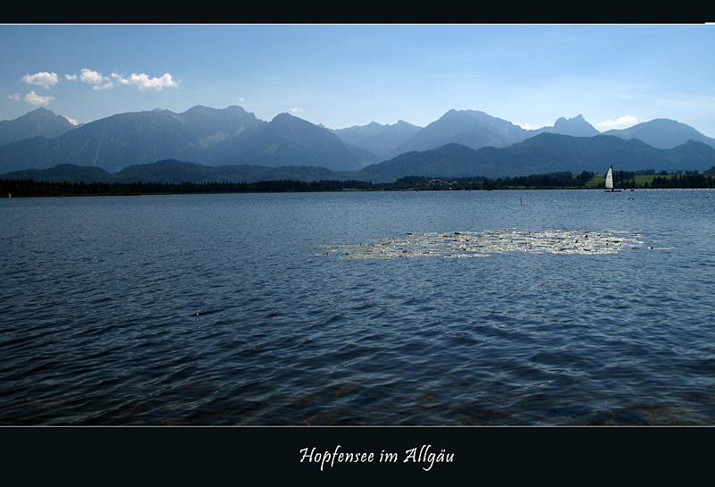 Der Hopfensee