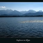 Der Hopfensee