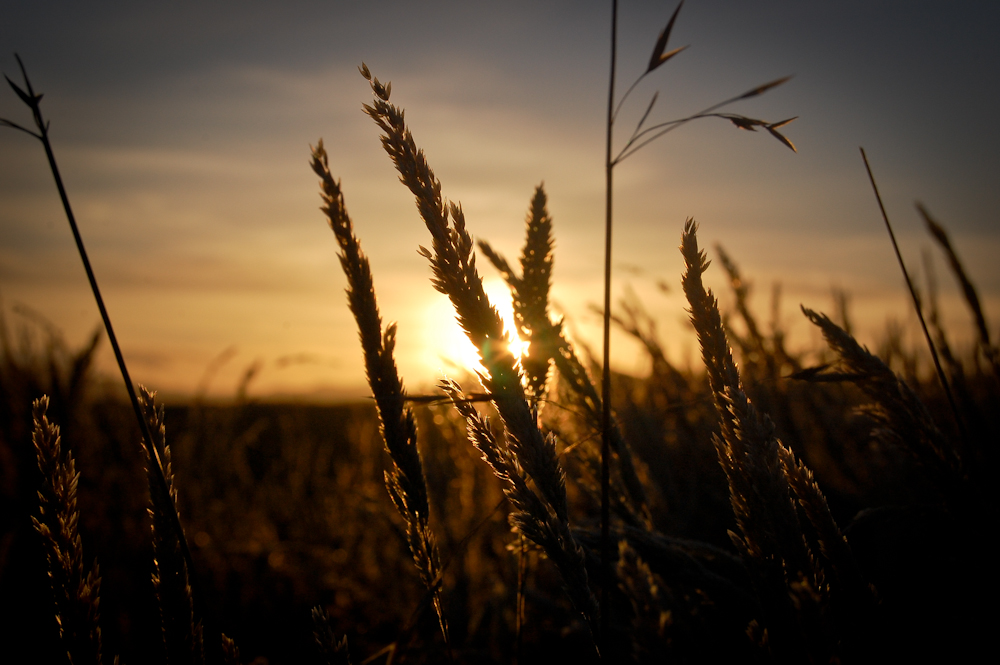 Der Horizont brennt