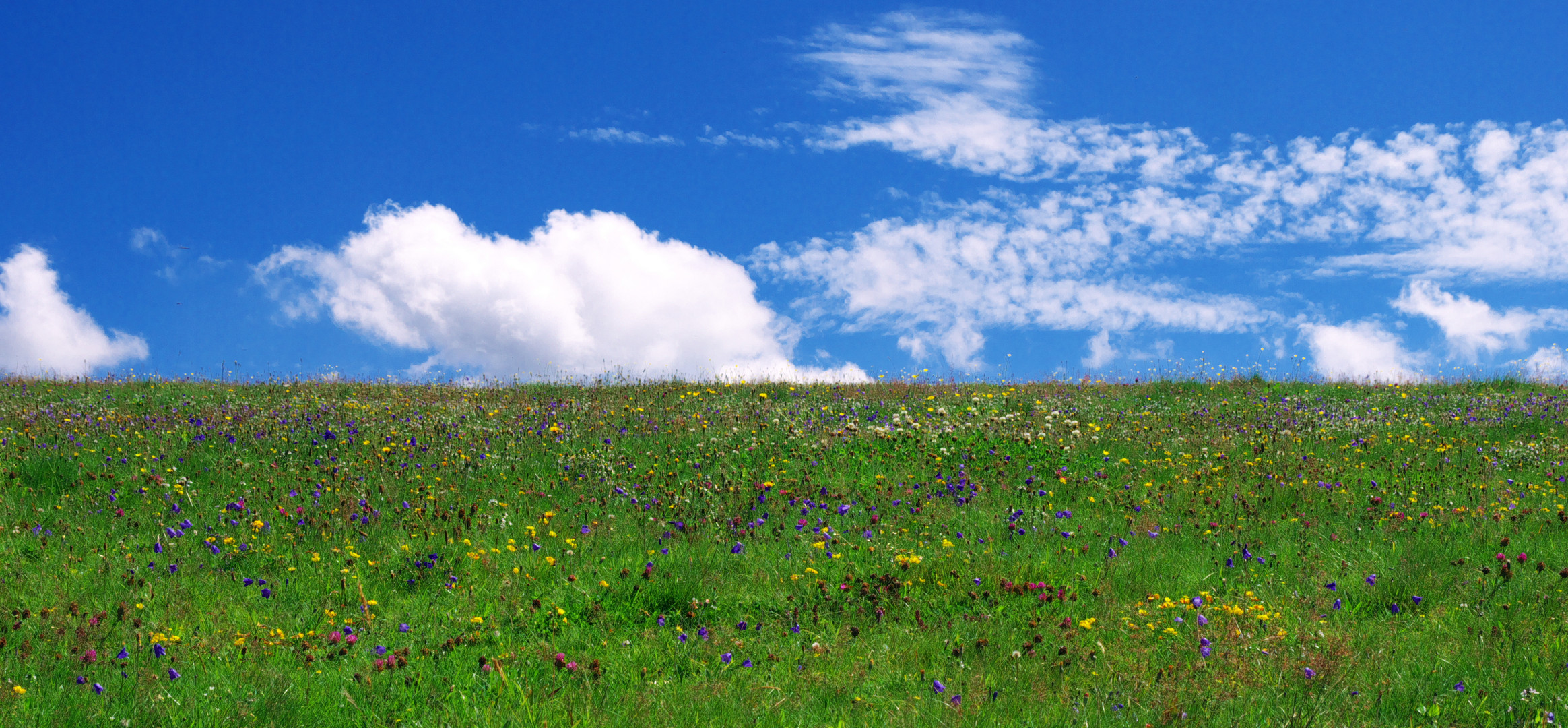 Der Horizont