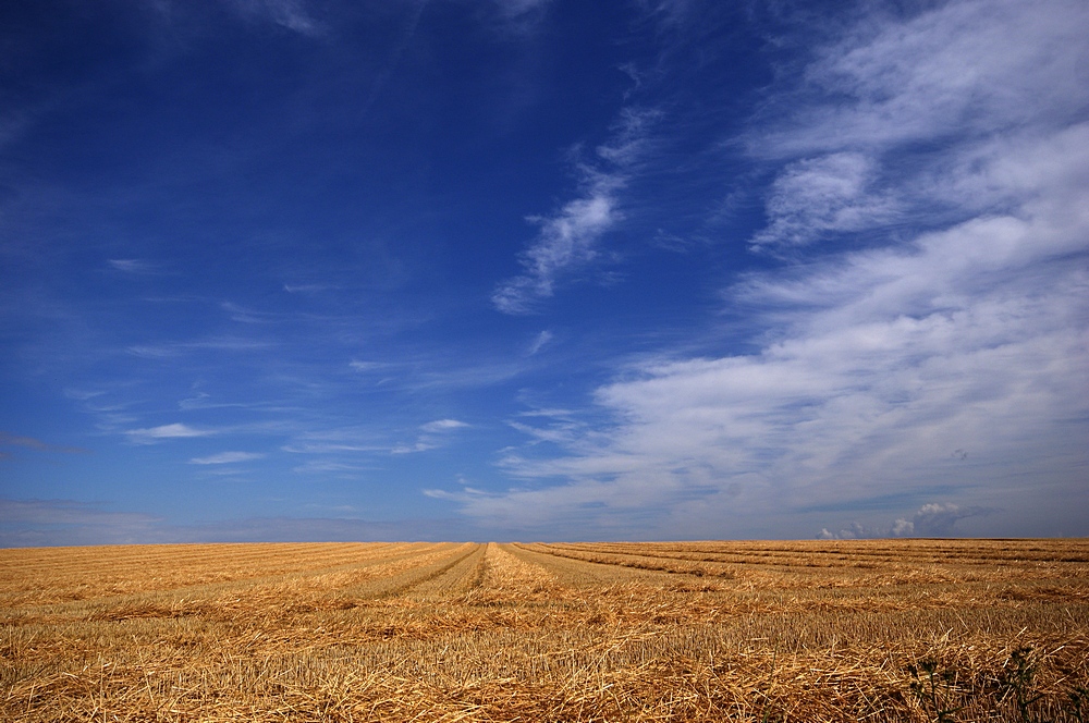 Der Horizont so weit