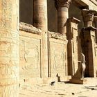 Der Horus - Tempel in Edfu (2)