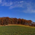 der hügel auf den feld