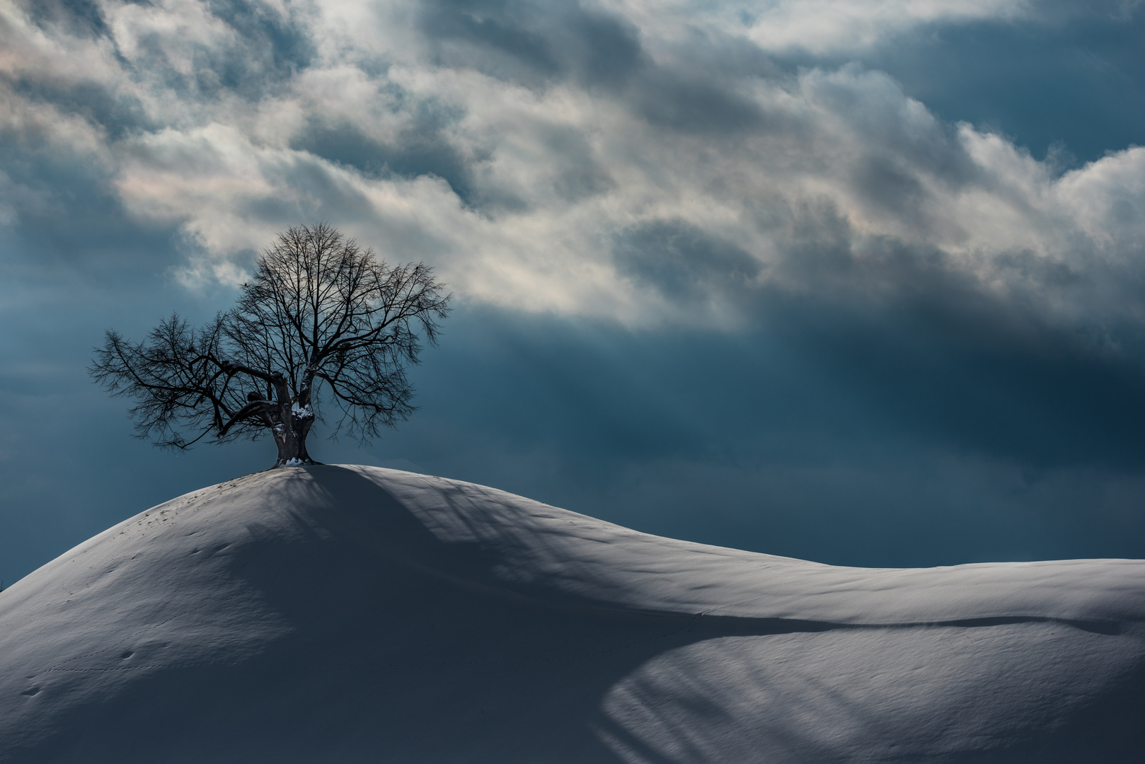 Der Hügel und der Baum