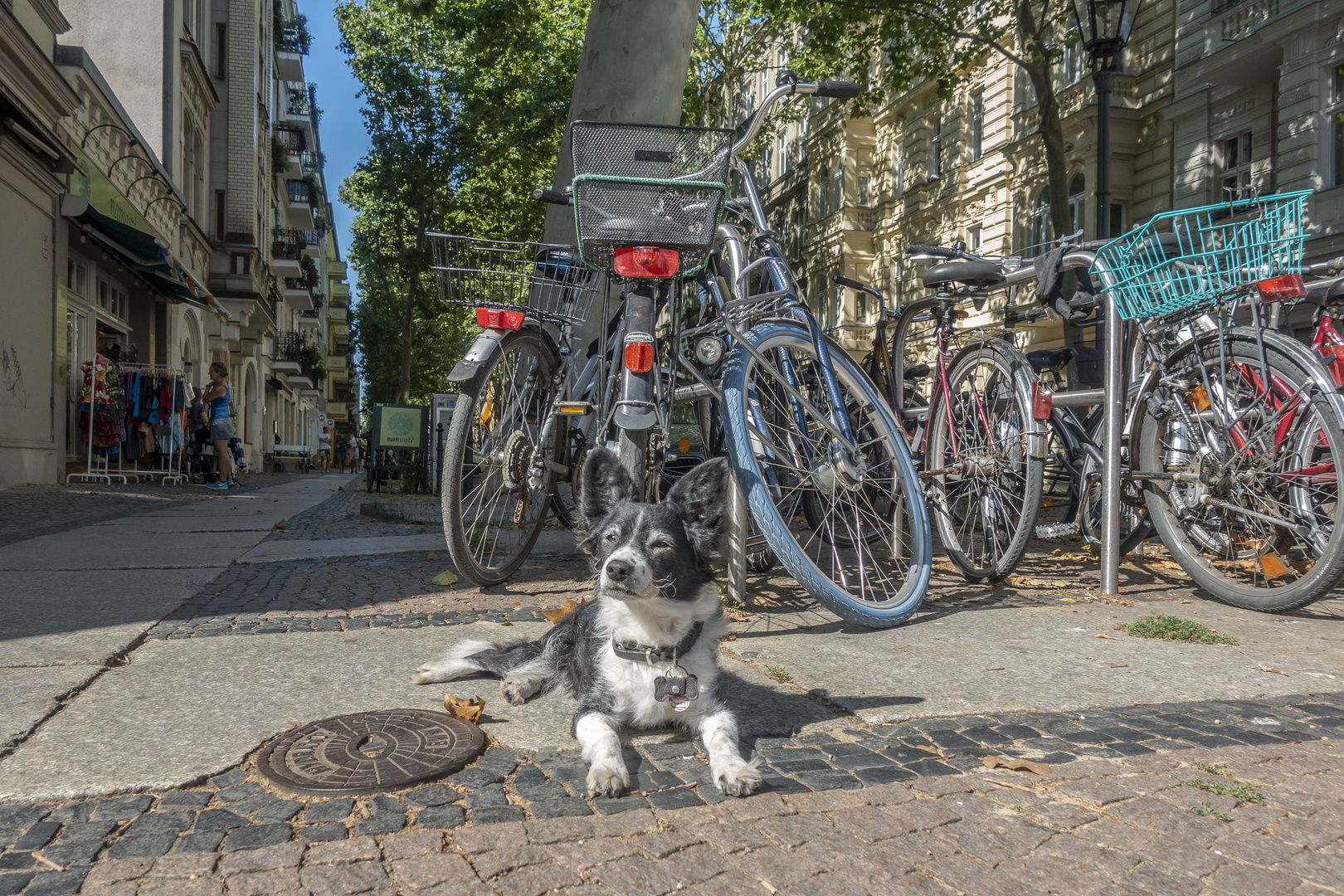 Der Hüter der Fahrräder